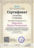 Сертификат  отличия I степени проф. мастерства.
